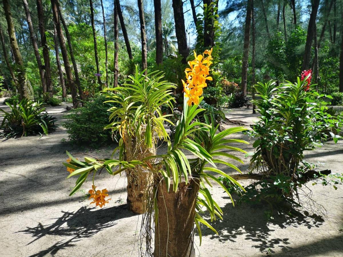 Hapla Beach Cottage Koh Kho Khao Island エクステリア 写真